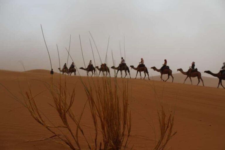 4 days Sahara desert tour from marrakech to merzouga dunes - Exploring the Valleys and Gorges