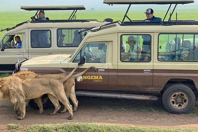 4 Days Serengeti, Ngorongoro and Tarangire Safari - Transportation and Comfort