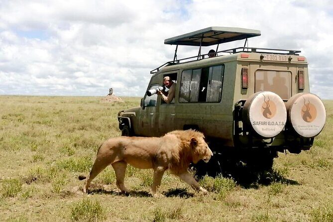 4 Days Tanzania Private Lodge Safari - Day 3: Serengeti Game Drives and a Scenic Exit