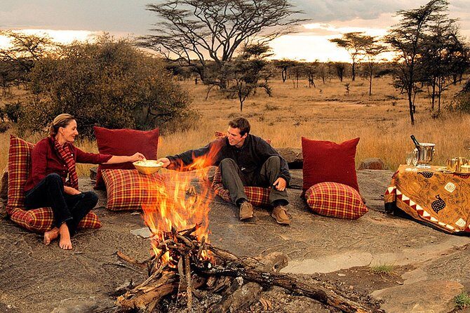 4 Days Tanzania Private safari to Serengeti ,ngorongoro crater and Tarangire - What Travelers Say: Authentic Perspectives