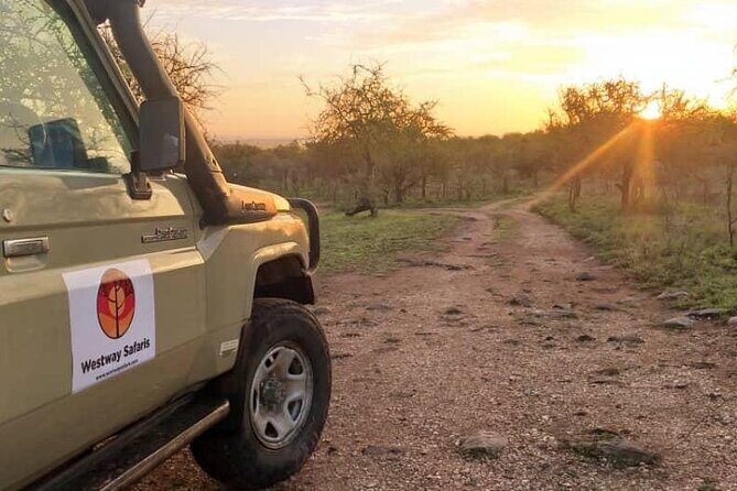 4 Days Tanzania Safari Experience - The Value and Overall Impression