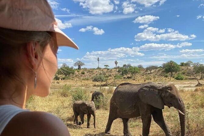 4 Days Tanzania Safari Tour - What Could Be Better?