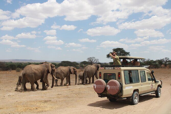 4 Days Tarangire Serengeti Ngorongoro Crater - The Practical Side: Transportation, Logistics, and Value