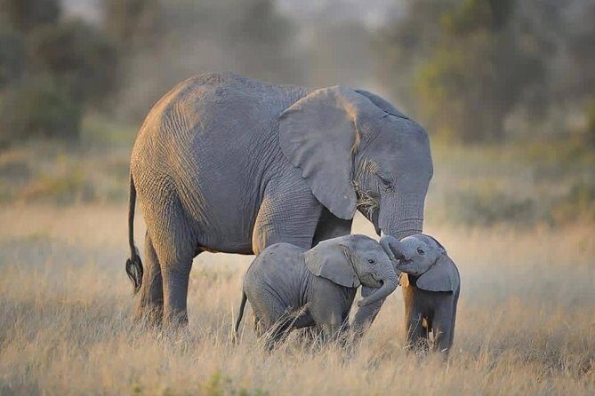 4 days Tarangire, Serengeti & Ngorongoro - The Itinerary – Day-by-Day