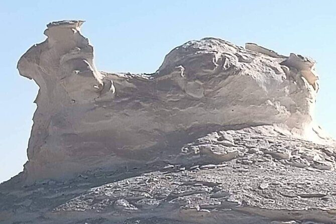 4 Days White Desert and Bahariya Oasis Tour - Transportation and Comfort