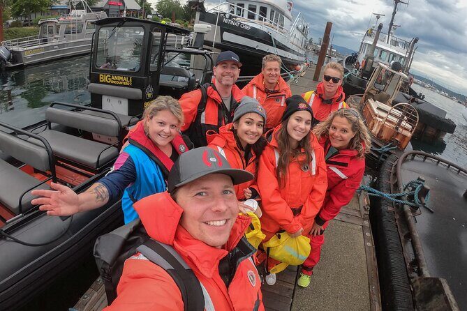 4 Hour Afternoon Whale Watching Tour - Why This Tour Is a Great Choice