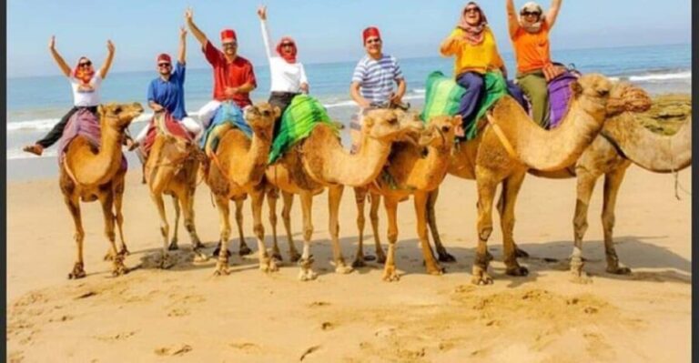 4 Hour Deluxe Private Guided Tour of Tangier - Final Thoughts