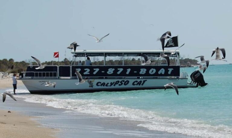 4 Hour Egmont Key Island Tour With Dolphins & Snorkeling - What Makes This Tour Stand Out?
