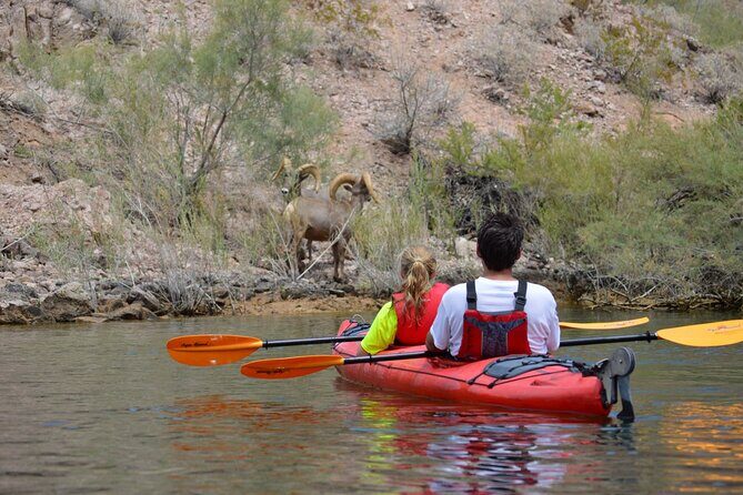 4-Hour Kayak Deluxe Tour in Emerald Cave with Catered Lunch - Emerald Cave: The Main Attraction