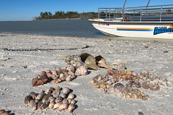 4 Hour Kice Island Shelling Trip - What You Can Expect on the Water