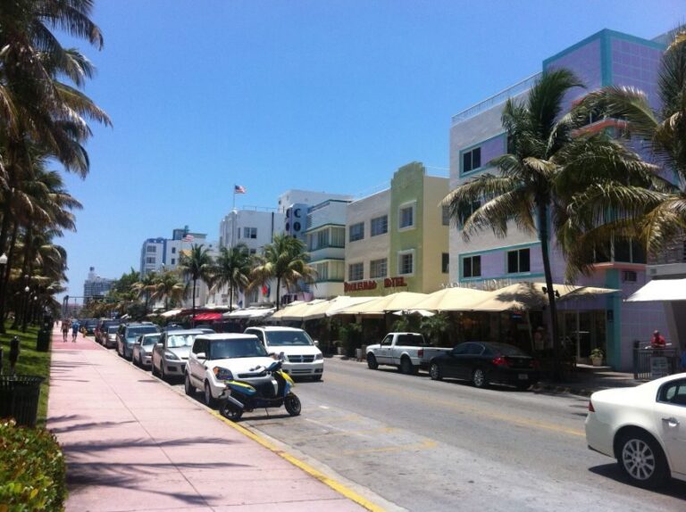4 Hour Miami City Tour - What the Reviews Say