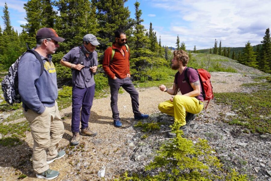 4 Hour Off-Trail Wilderness Wonders Tour in Denali