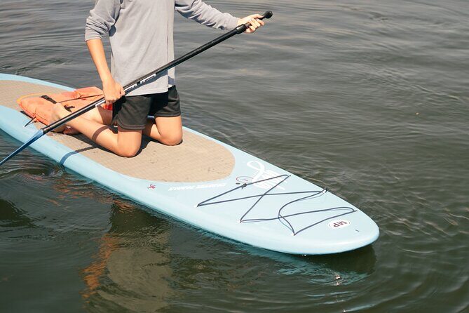 4 Hour Paddle Board Rental - Why This Paddle Board Rental Stands Out