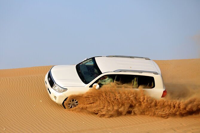 4-Hour Private Morning Desert Safari Jeep Admiring Desert Flora and Fauna - Analyzing the Price and Value