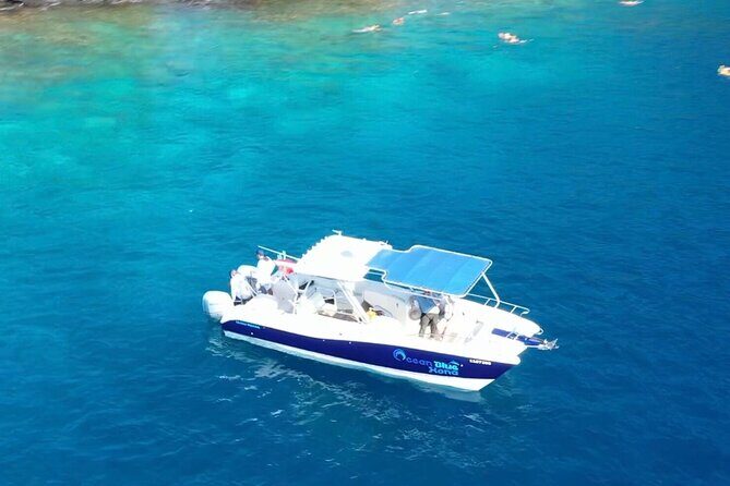 4 Hour Private Snorkeling Tour in Kona - Authentic Insights from Past Travelers