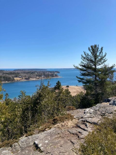 4 Hour Private Tour: Acadia, Fjord, Gardens & Mansions - A Deep Dive Into What This Tour Offers