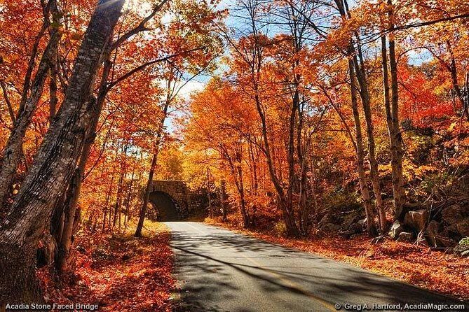 4 Hour Private Tour: Explore Acadia Nat'l Park, Fjord & Mansions - Why This Tour Offers Great Value