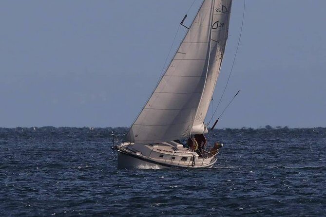 4-Hour Sailing Adventure on The Strait of Juan de Fuca - Final Thoughts