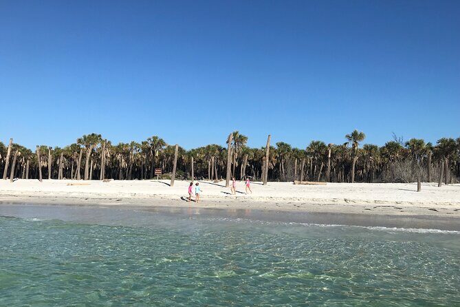 4-Hour St. Pete Pier to Egmont Key Experience by Ferry - The Value of This Experience