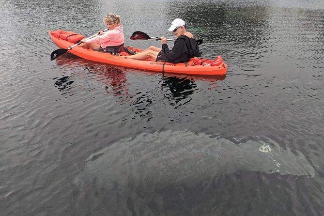 4 Hour Tandem Kayak Rental For Two People In Crystal River, Florida - The Sum Up