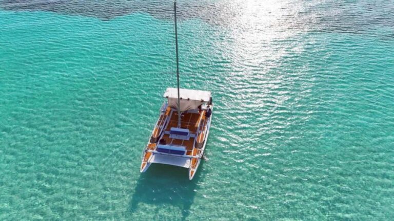 4 Hour Turtle Sanctuary Experience on a Luxury Catamarán - Authentic Feedback from Travelers