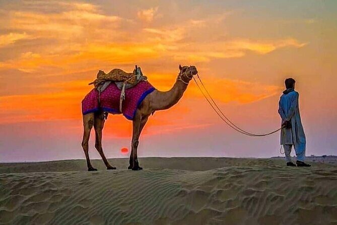 4 Hours Desert Safari - Real Experiences from Travelers