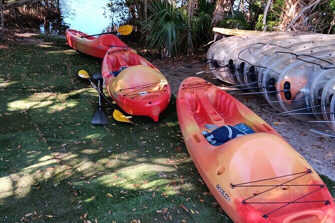 4 Hours Fishing Kayak Rentals - Analyzing the Value