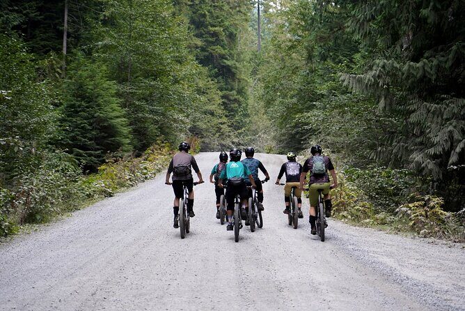 4 Hours Guided Mountain Bike Tour - Pricing and Value