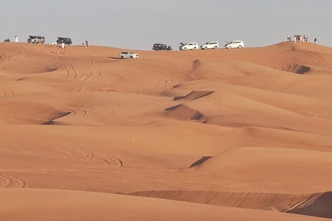 4 Hours Morning Desert Safari in Dubai - Why This Tour Stands Out