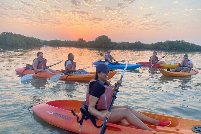 4 Hours Purple Island Mangroves Kayaking Adventure in Qatar - Authentic Experiences and Traveler Insights