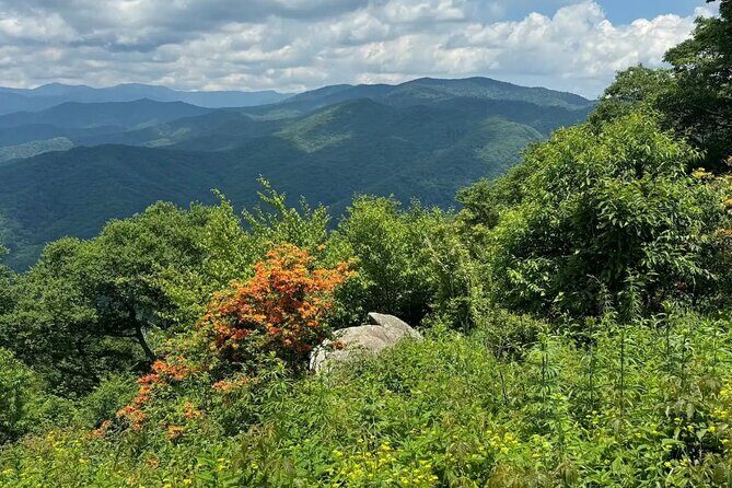 4 Hr Maggie Valley Slingshot Automatic Rental - Meeting Point and Timing