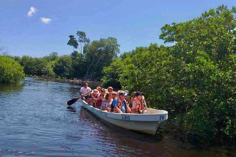 4-in-1 Tour - Mazunte, Cacao Factory & Turtle Spawn/Release - The Value of the Tour