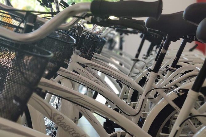 4 to 7 Day Beach Cruiser Rental (Up to 7 Days, includes Ulock) - What to Expect from Your Rental Experience