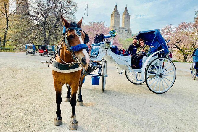 45 min Long VIP Central park carriage ride - Practical Tips for Your Carriage Ride