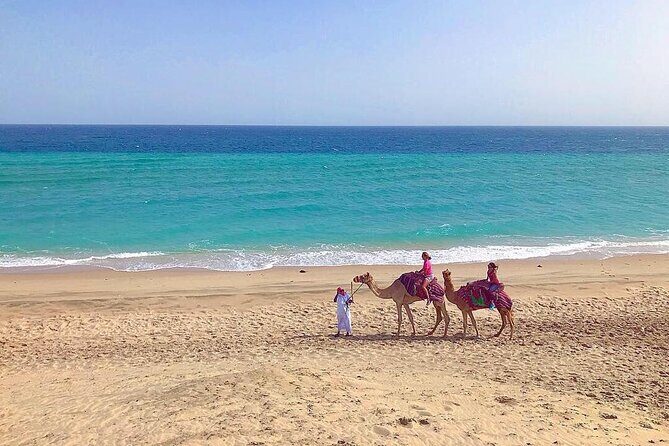 4hr Desert Safari: Sunset,Sunrise,Camel,Sand boarding,Inland Sea - Transportation and Group Dynamics