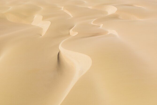 4WD Boa Vista group day tour south and north with sandboarding - What Travelers Say