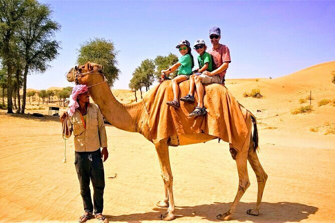 4x4 Desert Safari with BBQ Ras al Khaimah from Ras al Khaimah and Fujairah - Included and Optional Experiences