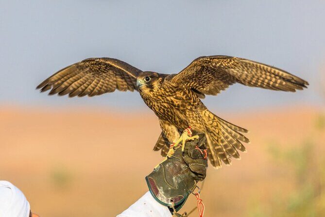 4x4 Dubai Desert Safari, Dune Bash, Camel Ride & BBQ - Is It Worth the Price?
