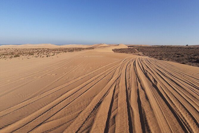 4×4 Jeep Desert Safari Tour with Lunch and Camel Ride - What Travelers Should Know