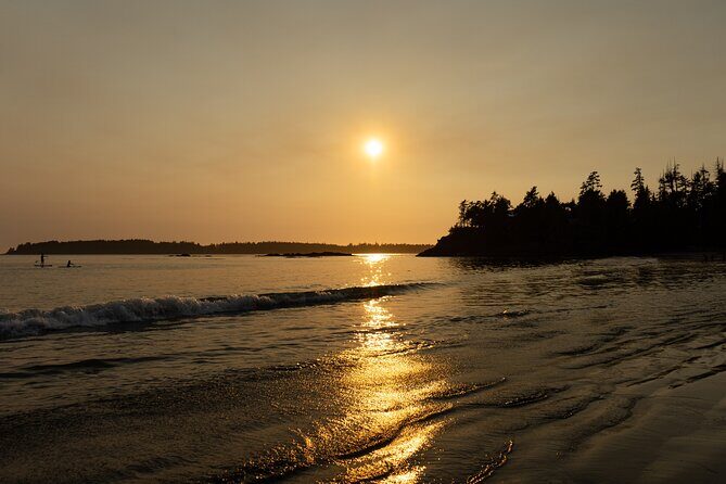 5-Day Adventure Tour in Vancouver Island Exploration - A Day-by-Day Breakdown: What To Expect