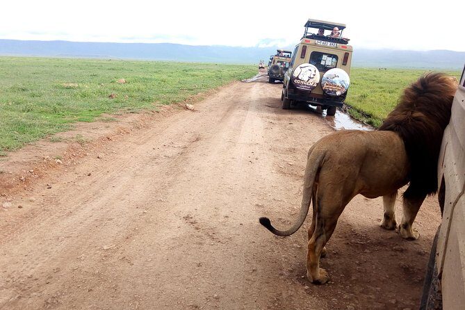 5 Day Camping Safari to Lake Manyara, Serengeti and Ngorongoro Crater - Day 2: Serengeti – The Ultimate Safari Landscape