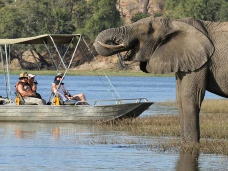5 Day Chobe National Park Safari & Victoria Falls - Transitioning to Zimbabwe: Victoria Falls and Adventure