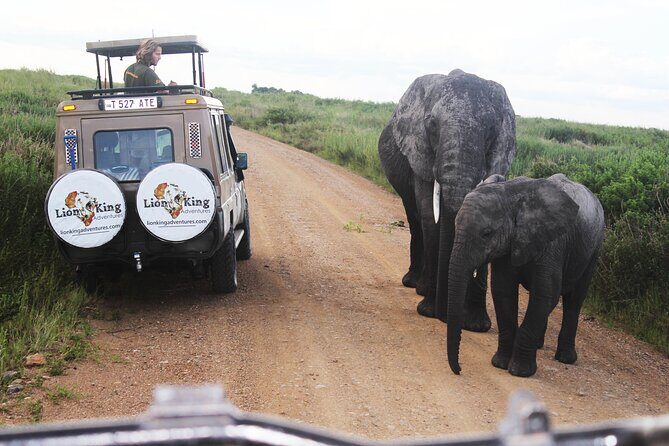 5-Day Highlights mid-Range Crater, Serengeti, Tarangire - Why This Tour Offers Strong Value