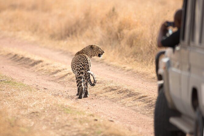 5-Day Private Camping Tour to Serengeti, Ngorongoro & Tarangire - Practical Considerations
