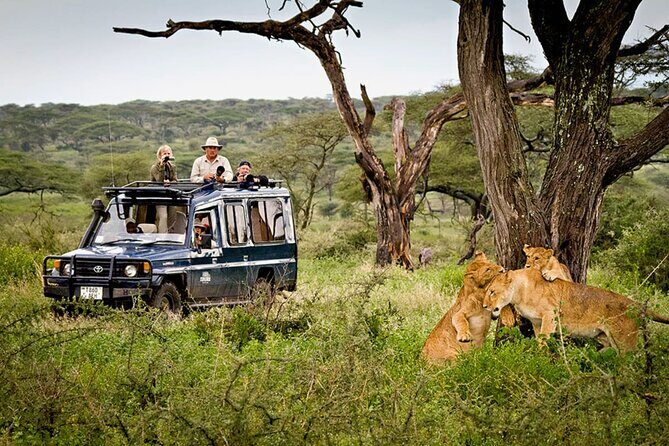 5 Day Private Guided Wildebeest Migration Tour - How the Experience Adds Up