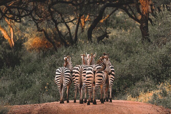 5 Day Tanzania Safari - Who Will Love This Safari?