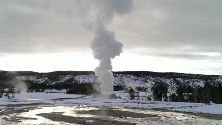 5-Day Winter Yellowstone Wildlife Tour - The Adventure Options: Dog Sledding and Snowmobiling