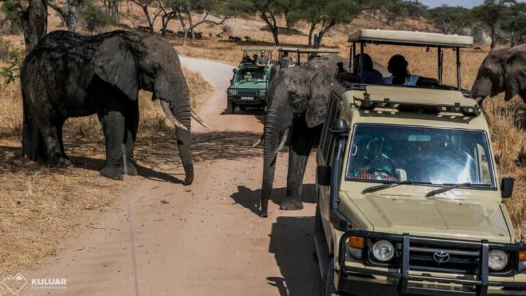 5 Days Amboseli, Tsavo West & East Safari with SGR /Mombasa - Practical Considerations