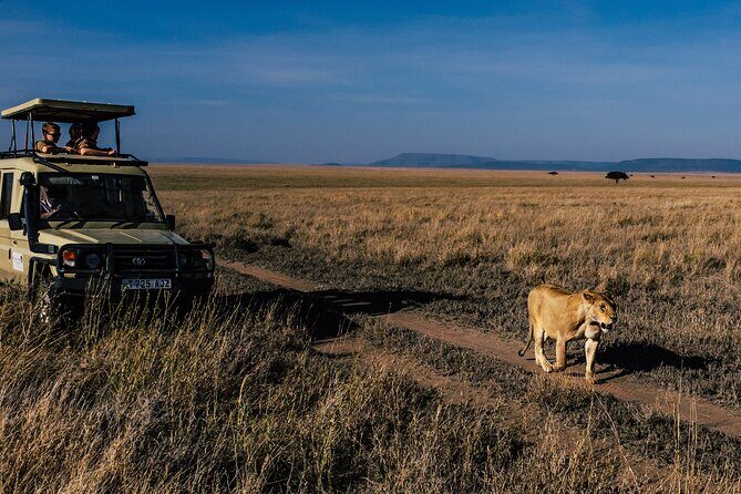 5 Days Budget Safari in Tanzania - What Travelers Say
