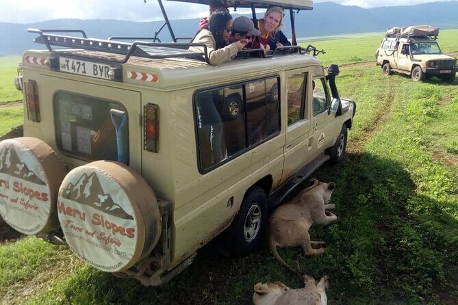 5 Days Camping Tarangire, Serengeti & Ngorongoro crater & Visiting Maasai - Day 1: The Magic of Tarangire